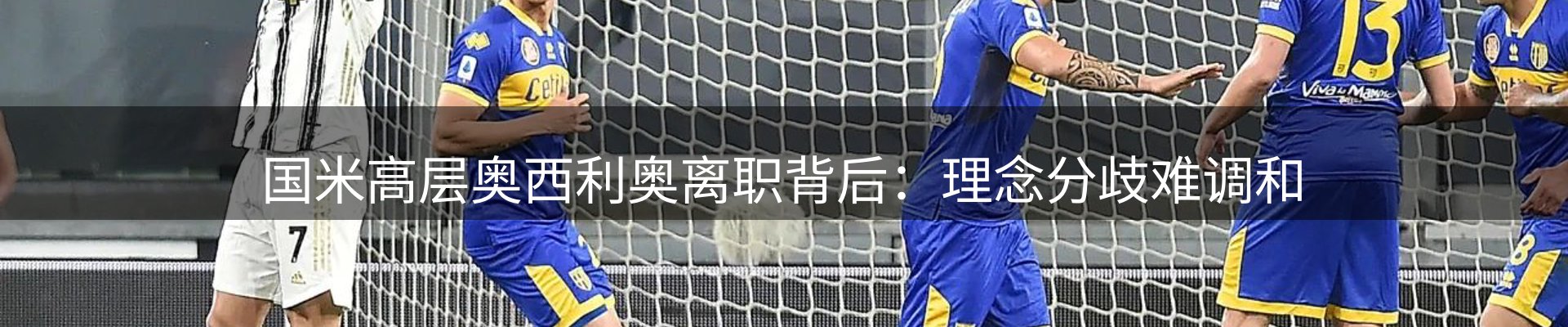 焦点解读